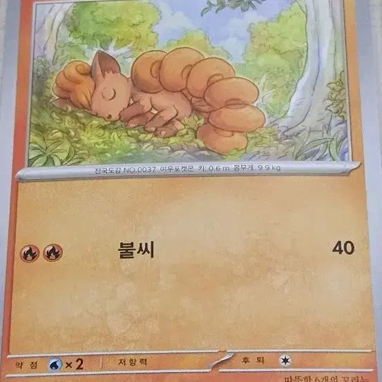 [BUNJANG] Pokemon Card Vulpix & Ninetales Set (6 Cards Total) / 포켓몬카드 식스테일, 나인테일 세트 총6장 [10%할인]