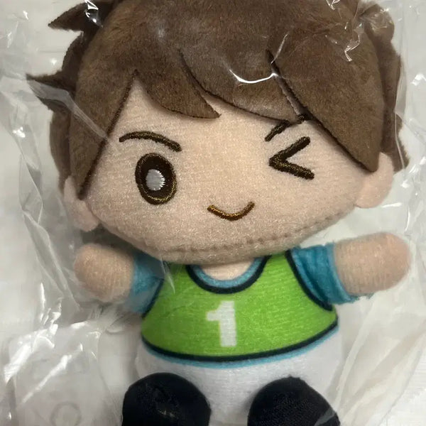 [BUNJANG] Oikawa Practice Wear Plush / 하이큐 오이카와 토오루 연습복 누이 더누이 The누이