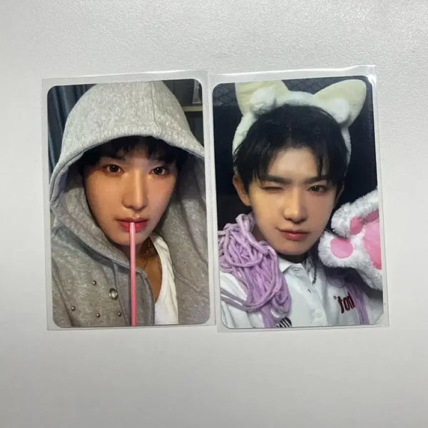 [BUNJANG] ModiSeay ICHEON Lucky Draw Bundle Photocard Set / 모디세이 이첸 럭드 포토카드 일괄