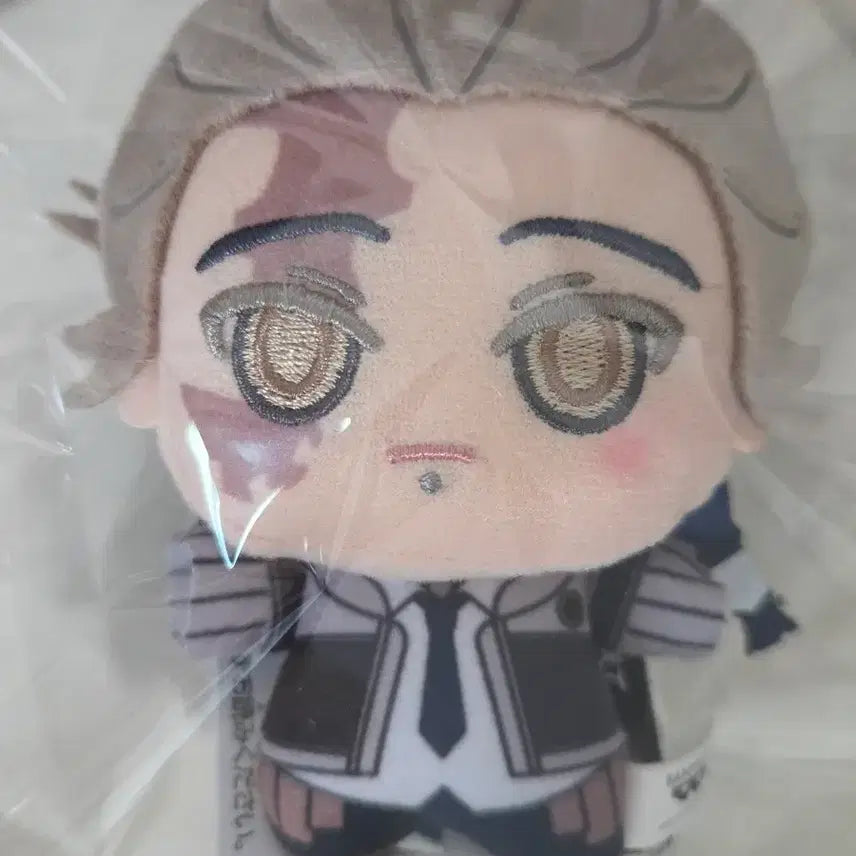 [BUNJANG] Chikawa Tamuji Chibi Plush / 가치아쿠타 타무지 치비누이