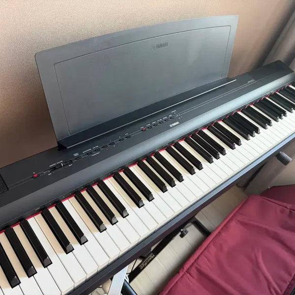 [BUNJANG] Yamaha P-125 Digital Piano / 야마하 P-125 판매합니다