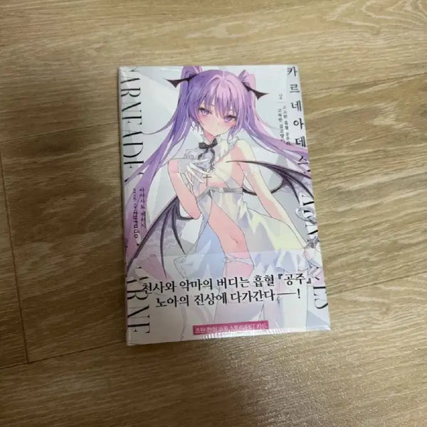[BUNJANG] Karnedes Vol. 2 First Edition Light Novel / 카르네아데스 2권 초판 라노벨 루루도