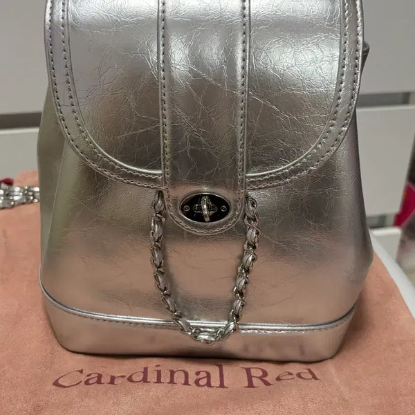 [BUNJANG] Cardinal Red Howa Bag Silver / 카디널레드 하우아백 실버