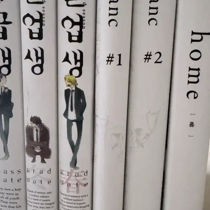 [BUNJANG] Doukyusei Complete Set / 동급생~home