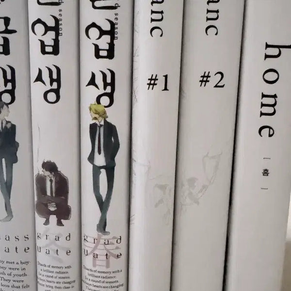[BUNJANG] Doukyusei Complete Set / 동급생~home