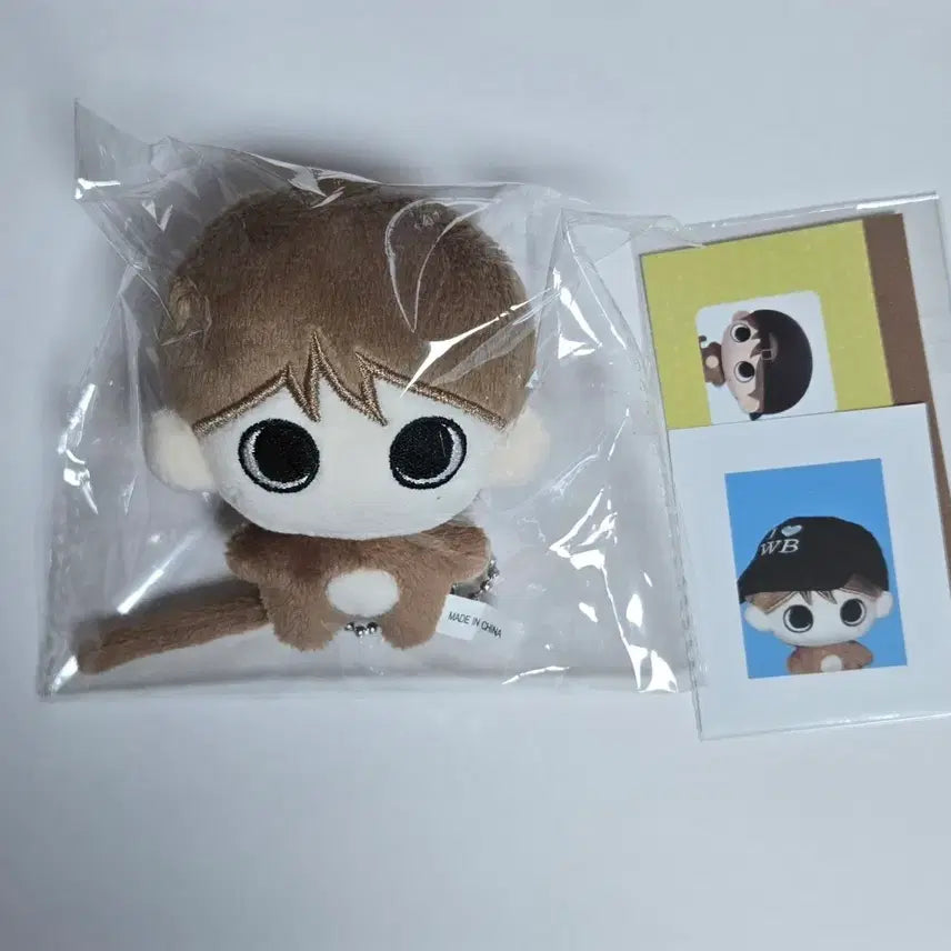 [BUNJANG] RIIZE Wonbin Ppinsoongi Doll Photocard Sticker / 라이즈 원빈 삔숭이 인형 양도 포카 비공굿 스티커 토냥덕