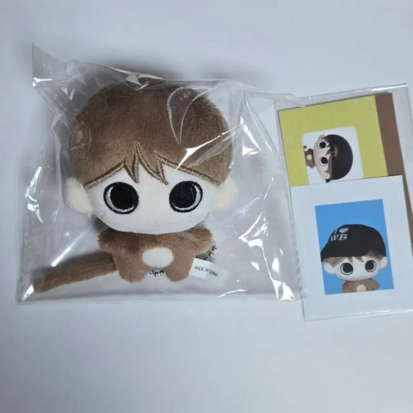 [BUNJANG] RIIZE Wonbin Ppinsoongi Doll Photocard Sticker / 라이즈 원빈 삔숭이 인형 양도 포카 비공굿 스티커 토냥덕