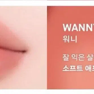 [BUNJANG] Naming Glossy Heart Lip Tint Wony / 네이밍 글로이 하트 립틴트 워니