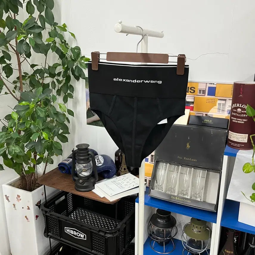 [BUNJANG] Alexander Wang High-Waist Briefs S / 알렉산더왕 하이웨스트 브리프 S