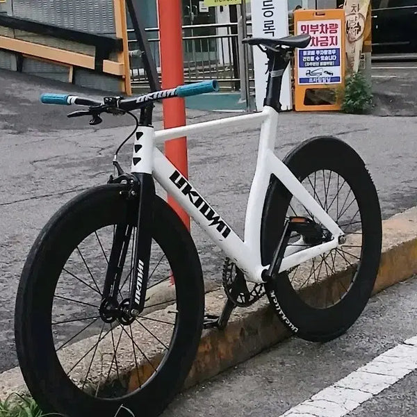 [BUNJANG] Unknown LV3 Pixie Custom Bicycle / 언노운 lv3 픽시 자전거 급처