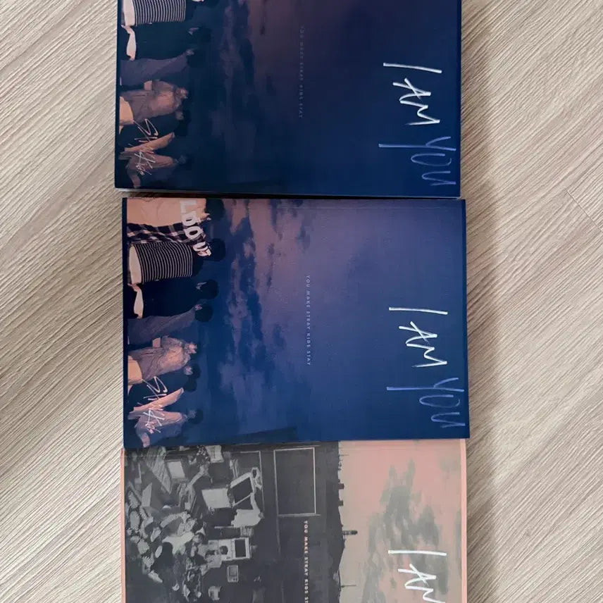 [BUNJANG] Stray Kids I am You Album Bundle Set / 스트레이키즈 앨범 일괄