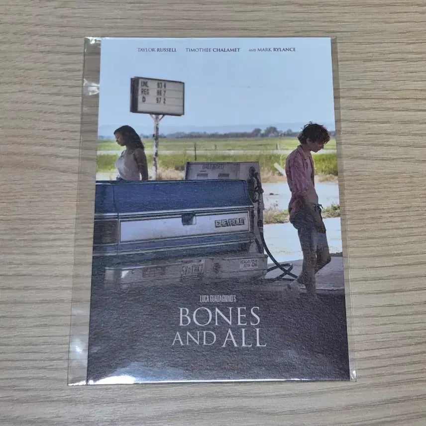 [BUNJANG] Bones & All Photocard / 본즈 앤 올 포토카드