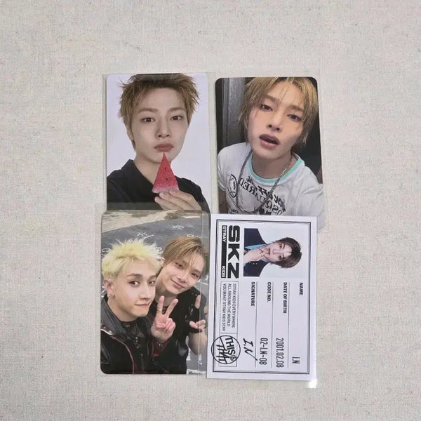[BUNJANG] Stray Kids This&That I.N Jeongin Bundle Set Photocard / (일괄)스트레이키즈 스키즈 디스앤댓 This&That 아이엔 정인 포카세트