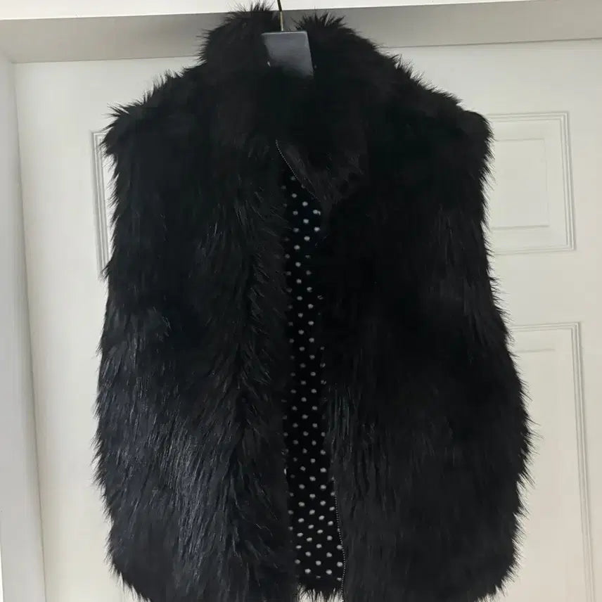 [BUNJANG] Lecyto Thick Fur Vest / 레씨토 lecyto /   도톰 퍼 베스트 조끼 /  S M L 추천