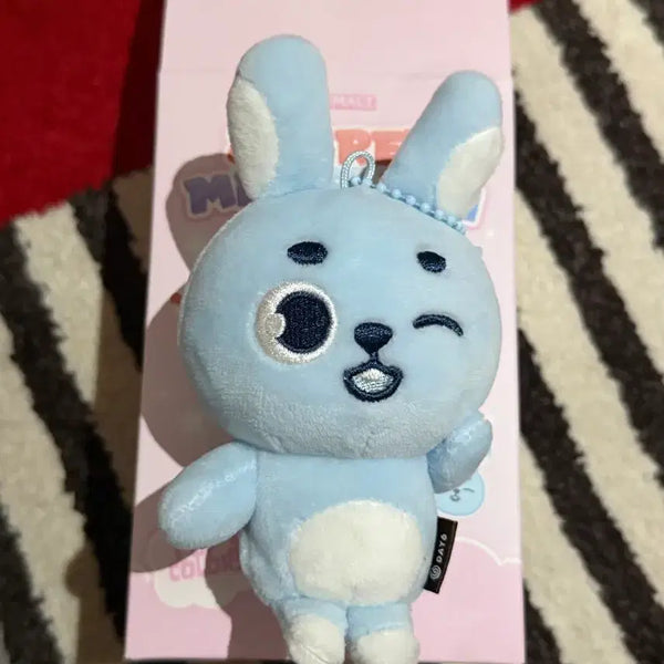 [BUNJANG] DAY6 The Decade Wonpil Random Secret Mini Plush / 데이식스 더데케이드 원필 필끼 랜덤 시크릿 미니 플러시