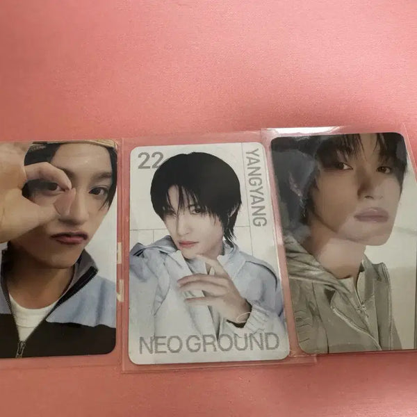 [BUNJANG] WayV Yangyang NCT 10th Anniversary Trading Card Bundle Set / NCT 10주년 wayv 웨이션브이 양양 트레카 5만원포카일괄