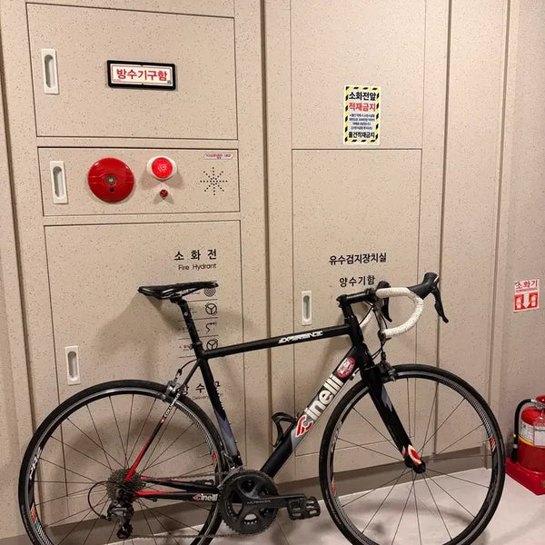 [BUNJANG] Cinelli Experience Endurance Road Bike / 치넬리 익스피리언스 앤듀런스 로드 자전거 판매