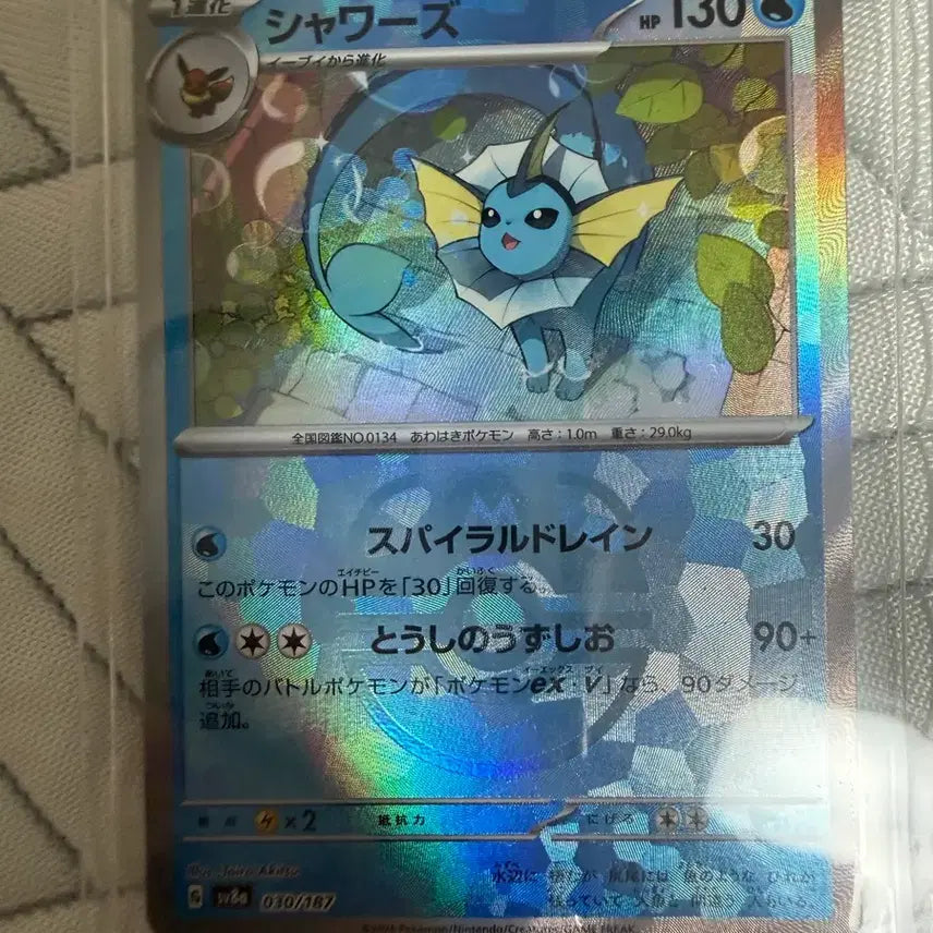 [BUNJANG] Terastal Festa Charizard Master Ball Hologram Card / 일판 테라스탈페스타 샤미드 마스터볼 홀로그램