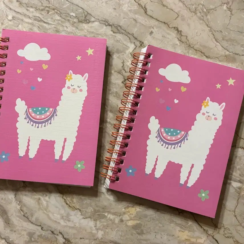 [BUNJANG] A6 Spring Notebook Set (2 pcs) / A6 스프링 노트 2권 세트 귀여운 디자인 수첩 다이어리