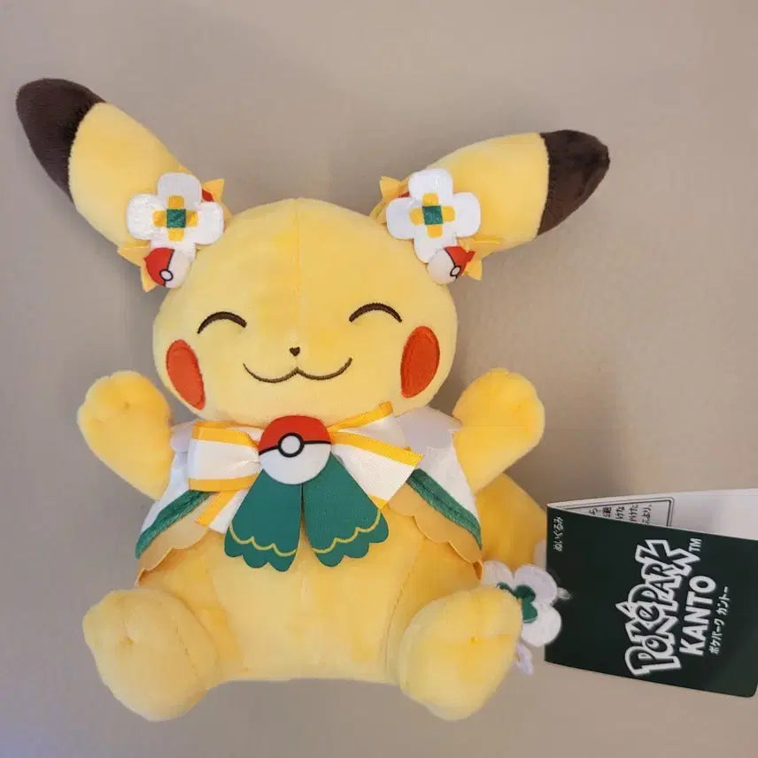 [BUNJANG] Pokemon Pocket Park Pikachu Limited Edition Kanto Special / 포켓몬 포켓파크 피카츄 한정판 칸토 스페셜 새상품
