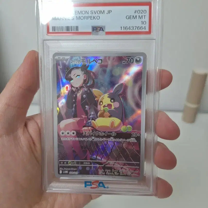 [BUNJANG] Pokemon Card Morpeko PSA 10 / 포켓몬 카드 마리의모루페코 PSA 10