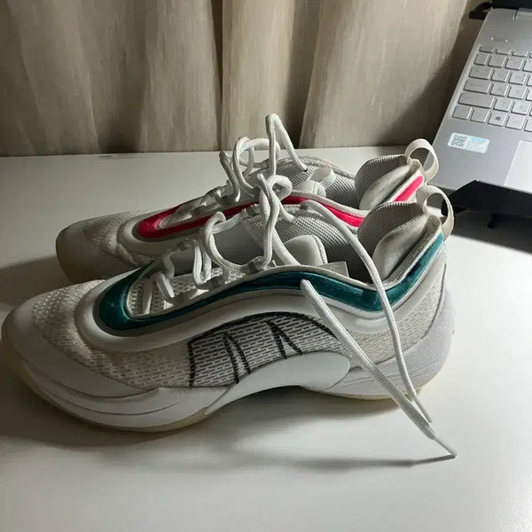 [BUNJANG] Adidas D Rose 6 Size 275 Custom Sneakers / 아디다스 돈이슈6 275팝니다