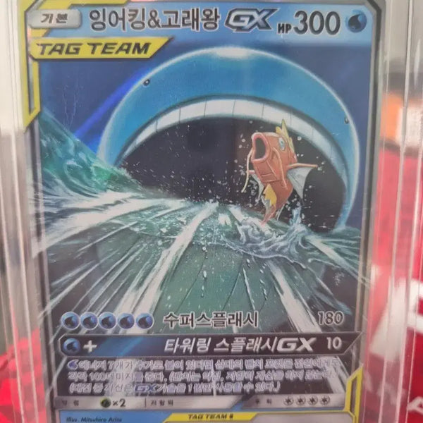 [BUNJANG] Gyarados & Magikarp GX Tag Team Trainer Card / 잉어킹&고래왕 GX 태그팀 트레이너블