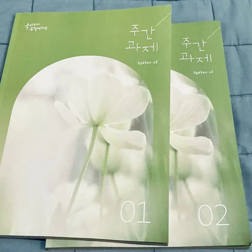 [BUNJANG] Son Changbin T-Shirt Season 2 Weekly Assignment 01, 02 / (급처) 손창빈T 시즌2 주간과제 01,02