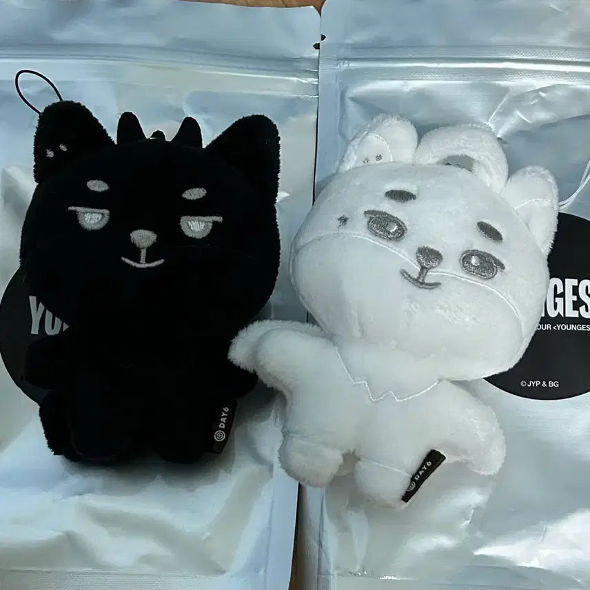 [BUNJANG] DAY6 Young K Demel Devil & Angel Bundle Set (Secret Keyring) / 영기스트 영케이 데멀 악마 & 천사 일괄(시크릿키링)