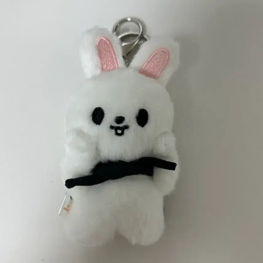 [BUNJANG] Stray Kids Plush Doll / 스키즈 인형