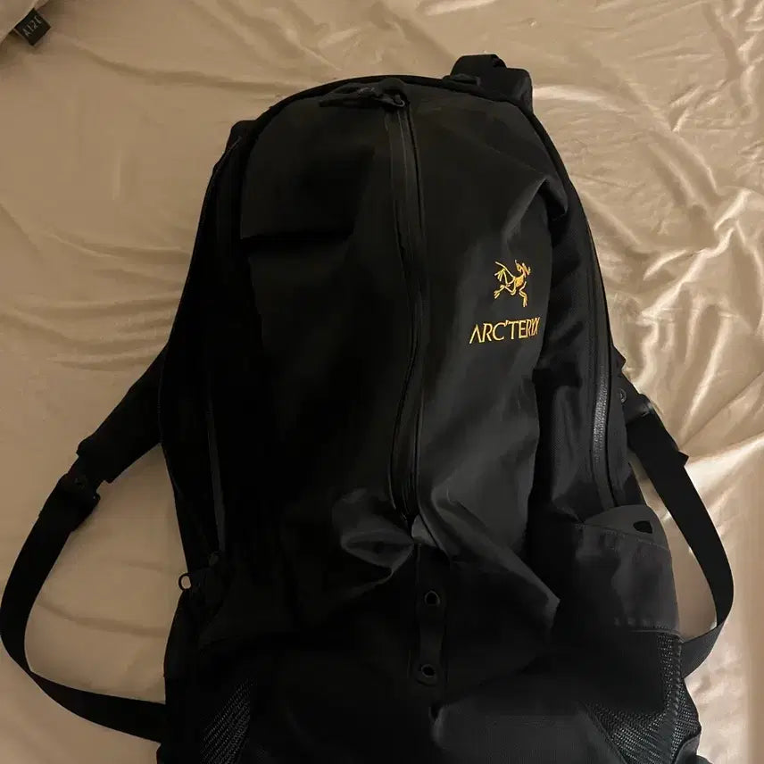 [BUNJANG] Arc'teryx Arro 22 Backpack / 아크테릭스 아로22 백팩