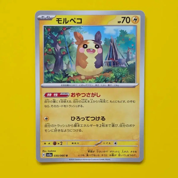 [BUNJANG] Pokemon Card SV5a Morpeko Japanese Version / 포켓몬카드 sv5a 모르페코 일판