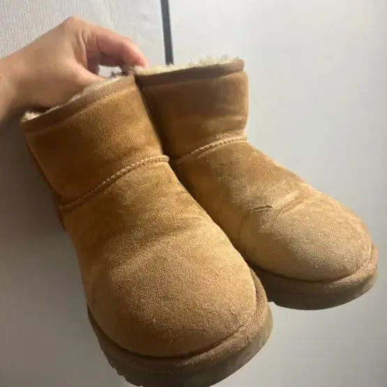 [BUNJANG] UGG Beige Boots Size 230 / UGG 어그부츠 베이지 230