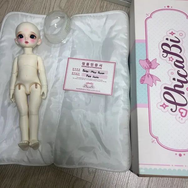 [BUNJANG] Chicabi Bora Wig (Store Exclusive) / 치카비 보라(매장한정),가발