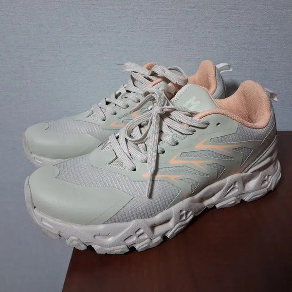 [BUNJANG] Millet Trekking Shoes Hiking Boots (250mm) / 밀레 트래킹화 등산화 (250)