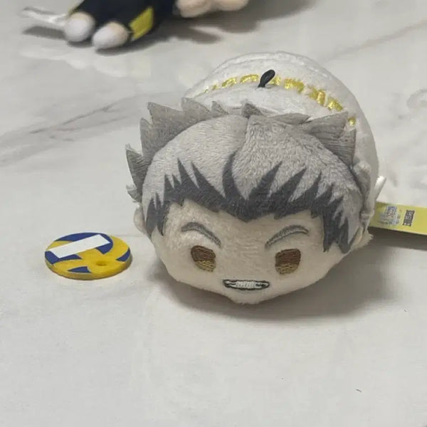 [BUNJANG] Haikyuu Bokuto Plush / 하이큐 보쿠토 누이구루미