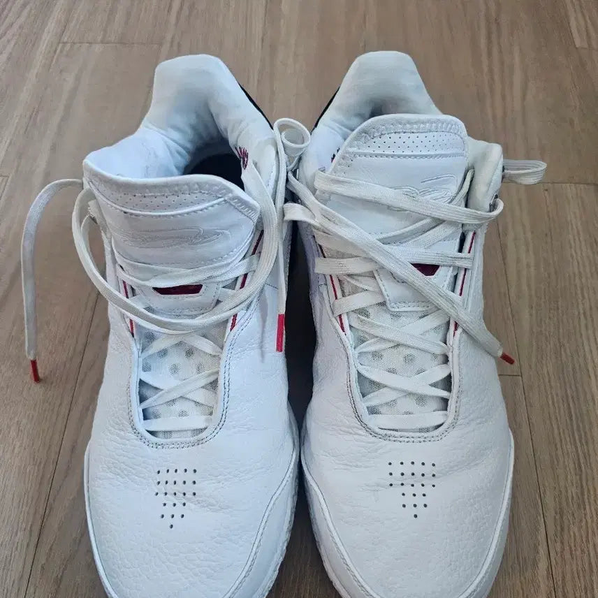 [BUNJANG] Nike LeBron Next Gen 290 / 르브론 넥스트젠 290