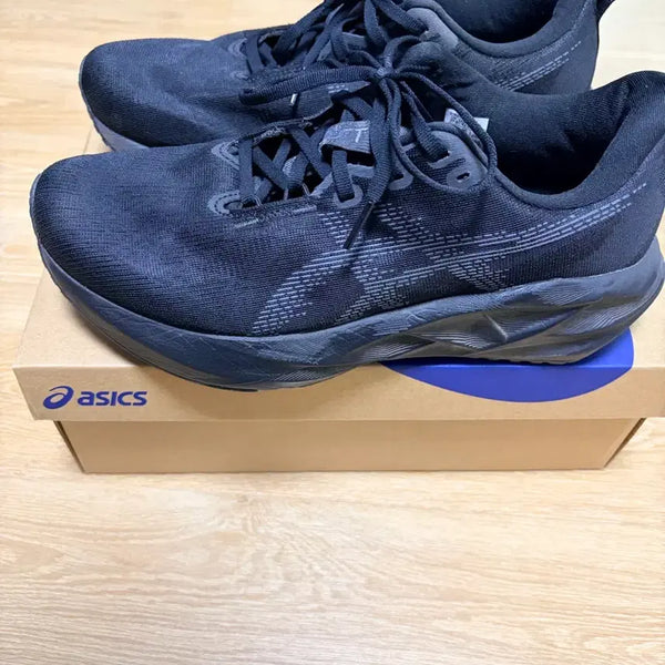 [BUNJANG] Asics NovaBlast 5 Running Shoes (270mm) / 아식스 노바블라스트 5 270