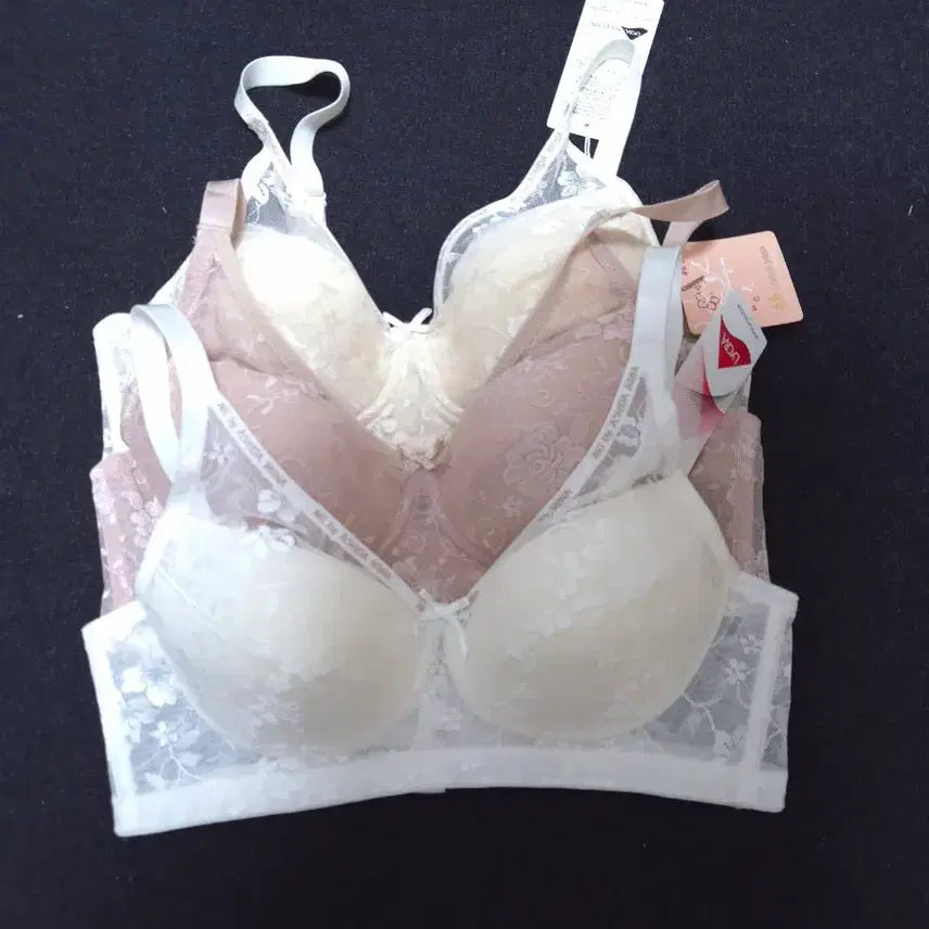 [BUNJANG] Asidamiwa Lace Bra and Panty Set Bundle / 80C] 아시다미와 레이스 브라팬티 3세트 일괄