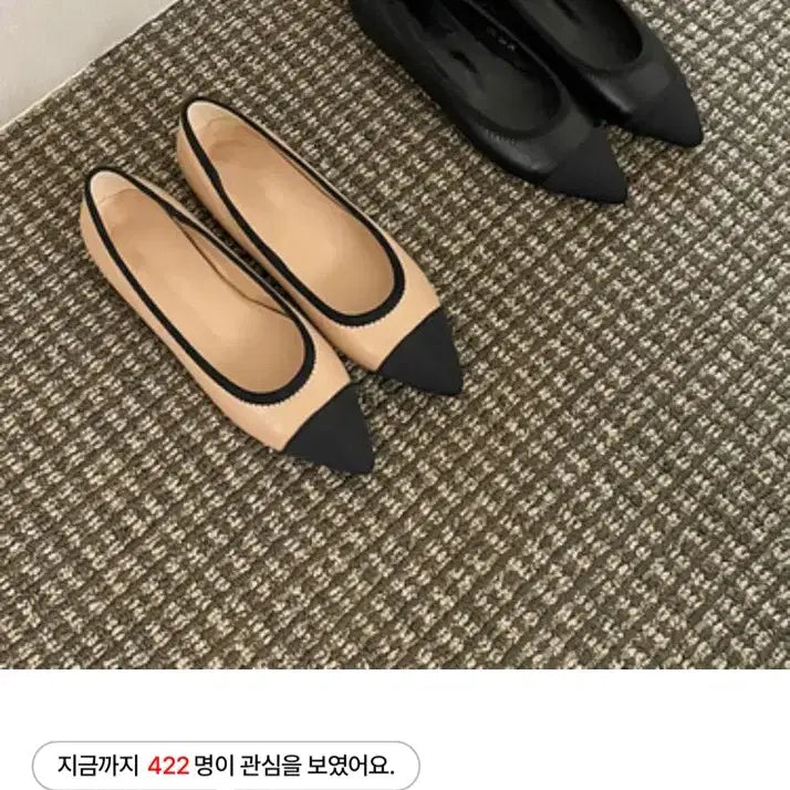 [BUNJANG] Lanette Two-Tone Color Block Flat Shoes / 라네뜨)투톤 배색 플랫슈즈245