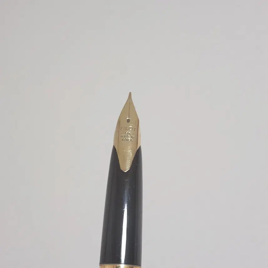 [BUNJANG] Pilot Korea Fountain Pens 14K Gold Nib Bundle / 한국 파이롯트 인셋닙 만년필 14k 등 일괄