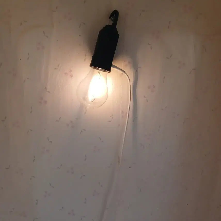 [BUNJANG] Solar Rechargeable Camping Lantern / 캠핑용등 전기 태양광 충전식