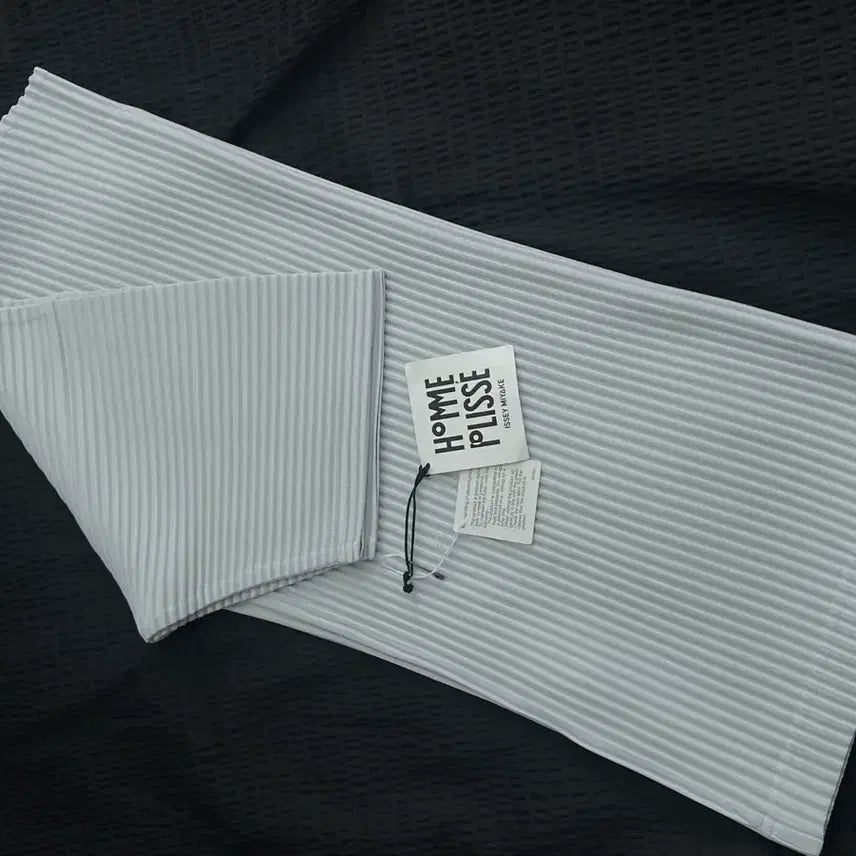 [BUNJANG] Homme Plissé Issey Miyake Pleats Slacks / 옴므플리세 플리츠 이세이미야케