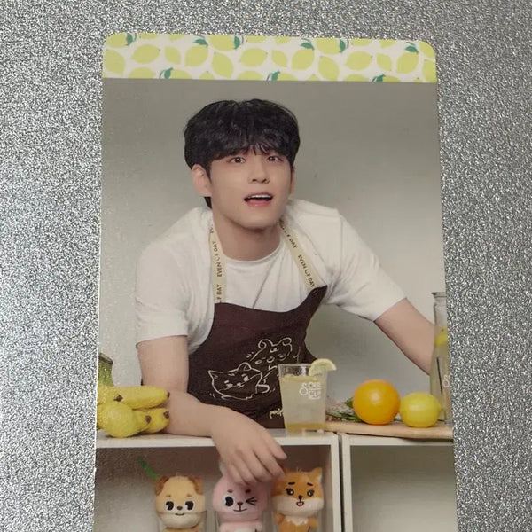 [BUNJANG] DAY6 Wonpil Photocard / 원필 포카