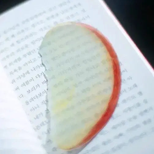[BUNJANG] Lee Okto Apple Bookmark / 이옥토 사과 책갈피 이옥토작가 북마크