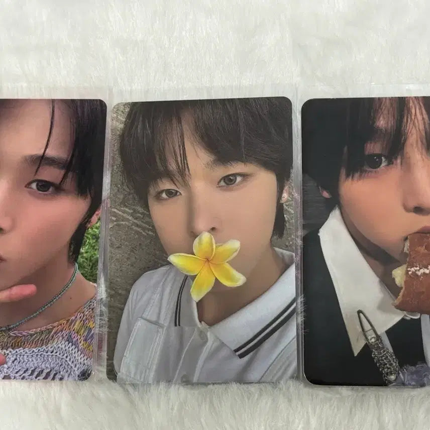 [BUNJANG] NCT WISH Riku Photocard Bundle Set / 엔시티 위시 리쿠 포카 양도