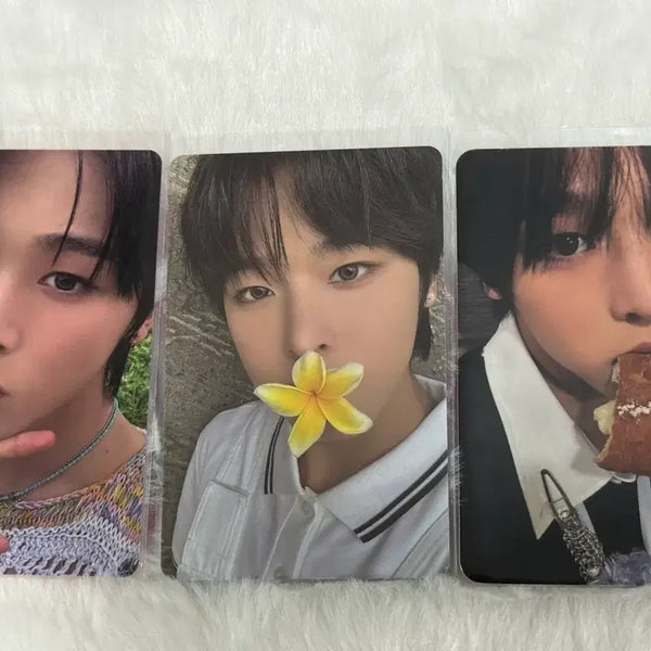 [BUNJANG] NCT WISH Riku Photocard Bundle Set / 엔시티 위시 리쿠 포카 양도