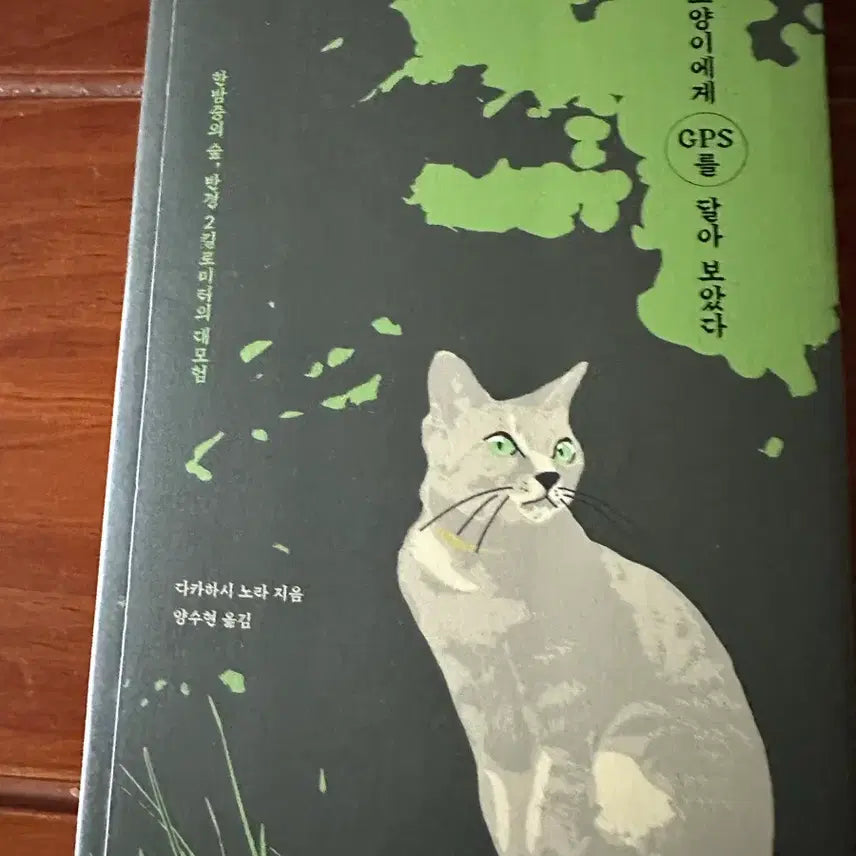 [BUNJANG] I Tried Putting a GPS on My Cat Book / 고양이에게 GPS를 달아보았다