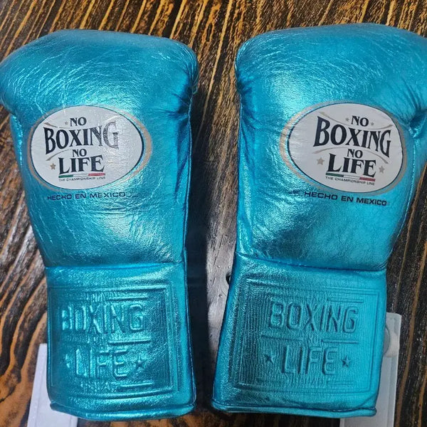 [BUNJANG] No Boxing No Life 10oz Boxing Gloves / 노복싱노라이프 10온스