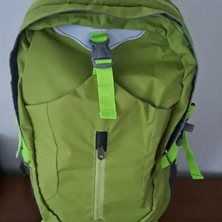 [BUNJANG] Green Backpack / 초록색 백팩